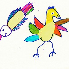 Birds 4